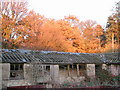 Old Piggeries nr Brenthall Wood