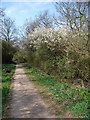 Footpath to Barwell