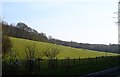 Pasture above Cutlers