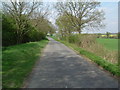 An Essex "Protected Lane".