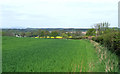 Crop Fields near Quatt, Shropshire