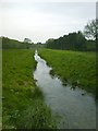 Stream Near Midgham Wood