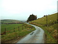 The lane to Cilgwyn-uchaf