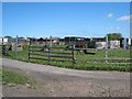 NZ2429 : Allotments at Coundon by Oliver Dixon