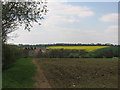 Farmland near Clavering Farm