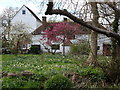 Rear view of Evegate Mill