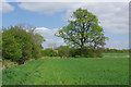 Field edge footpath