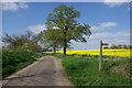 Lane near Westock