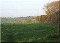 Field near Lower Tregurra Farm.