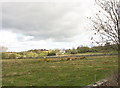 View across farmland to Perthi-uchaf