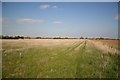 TF3851 : Leake Ings Meadow by Richard Croft