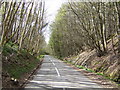 B727 through Brockcleugh Woods