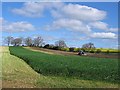 Tractor rolling field adjacent Streatlam Grove farm