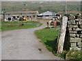 Farm entrance