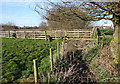 Brook near Greenbank Farm