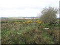 Creevy Townland