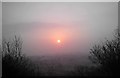 D3900 : Sunrise over Larne Town by Bernie McAllister