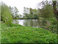 Duck pond near Sutton House