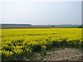 Looking towards Sleaford from field by B1209