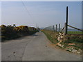 Lon yn arwain at Cefnllwyn / Lane leading to Cefnllwyn