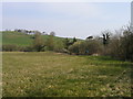 Allt uwchben Nant yr Efail / Hillside above Nant yr Efail