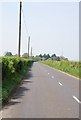 Road towards Winterborne Stickland