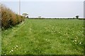 Large Pasture/Silage Field