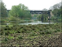 SP0444 : Railway Bridge over the River Avon by David Luther Thomas
