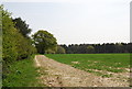 View of Milton Park Wood