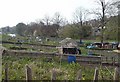 Allotments by Gledhow Valley Road (1)