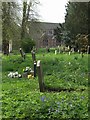 St Michaels Churchyard, Tettenhall