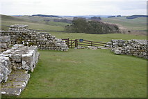 NY7968 : East Gate, Housesteads Roman Fort (Verocovicium) by Phil Champion