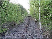 SP7021 : Dismantled railway looking north 2 by Andy Gryce