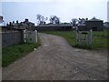 Model Farm at Holkham Park