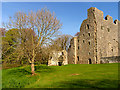 SS4986 : Oxwich Castle in April by Pam Brophy