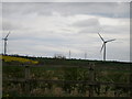 Field boundary to Crowshouse Moor