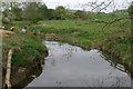 River Cherwell, Trafford Bridge