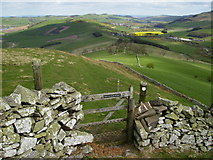 NT8025 : Gated section on St.Cuthbert's Way long distance footpath by Phil Catterall