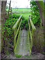 Footbridge at Newton Farm