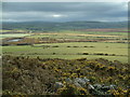 Moorland and Fields