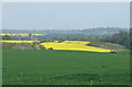 Fields near Claverley, Shropshire