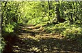 The footpath going North to the head of the Combe