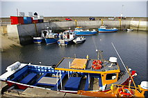 NU2232 : Passenger boats at North Sunderland Harbour, Seahouses by Phil Champion