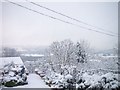 Talbot Green in the snow