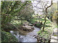 Meeting of two streams at Tregidden