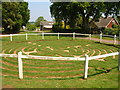 Turf Maze