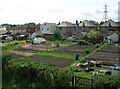 Allotments on Ring Road near Dawson