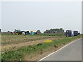 Vegetable harvesting near Tudor Farm