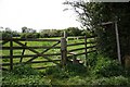 Footpath to Hawksworth