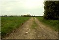 Footpath to Little Totham